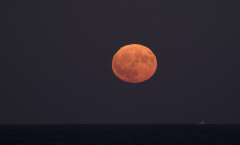 la lune, au soir du 05/10/2017  (31532 rawjpegas.jpg)