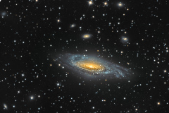 NGC7331 Galaxie dans la constellation de pégase