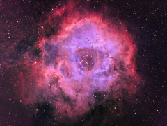 NGC2239 SHO