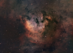 NGC7822  SHO
