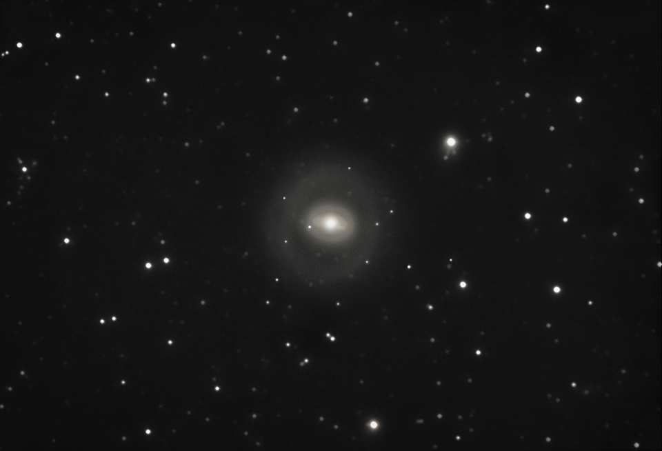 NGC 1291 Galaxie Spirale Barrée dans l'Eridan