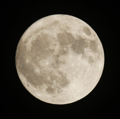 la lune,  au soir du 03/11/2017 (00033477.JPG)