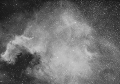 NGC 7000 Néb de l'Amérique du Nord en Ha