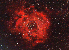 NGC2237 - Nébuleuse de la Rosette
