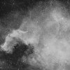 NGC 7000 Néb de l'Amérique du Nord en Ha