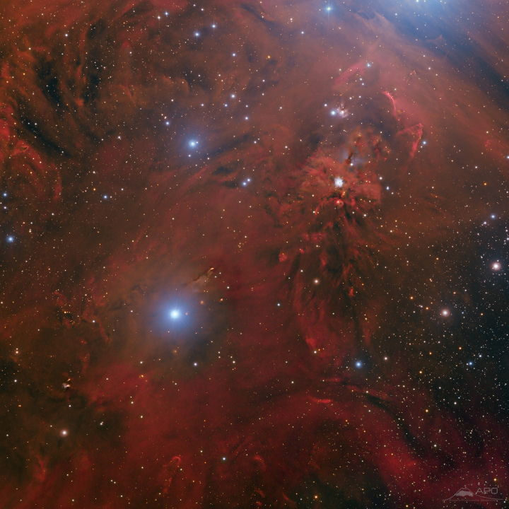 NGC1999_TOA150_U16M_HaLRGB_APO.jpg
