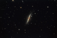 Galaxie du Cigare (M82)