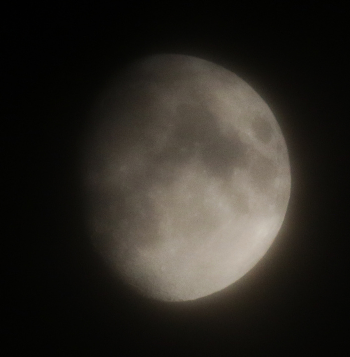la lune, au soir du 26/02/2018 (38852.JPG)