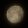 la lune , au matin du 02/02/2018 (37548.JPG)