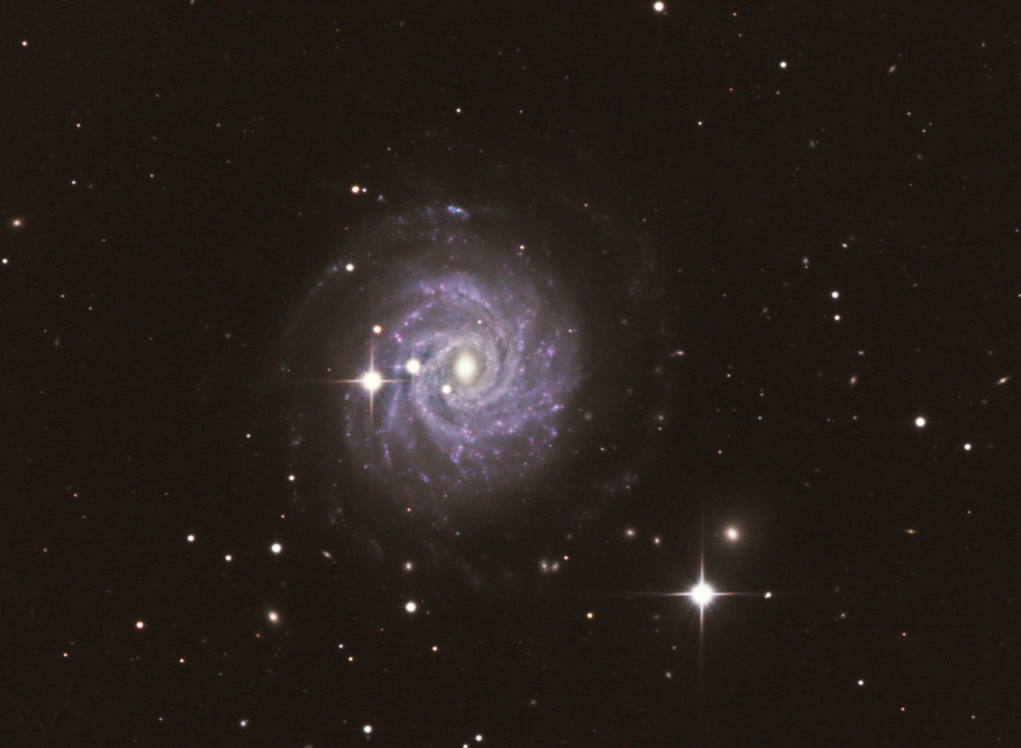 5ab436c8e7e42_NGC3344-crop1.thumb.jpg.176ecd545f995b9b807e627d7134b460.jpg