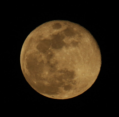 la lune, au soir du 02/03/2018 (38976.JPG)