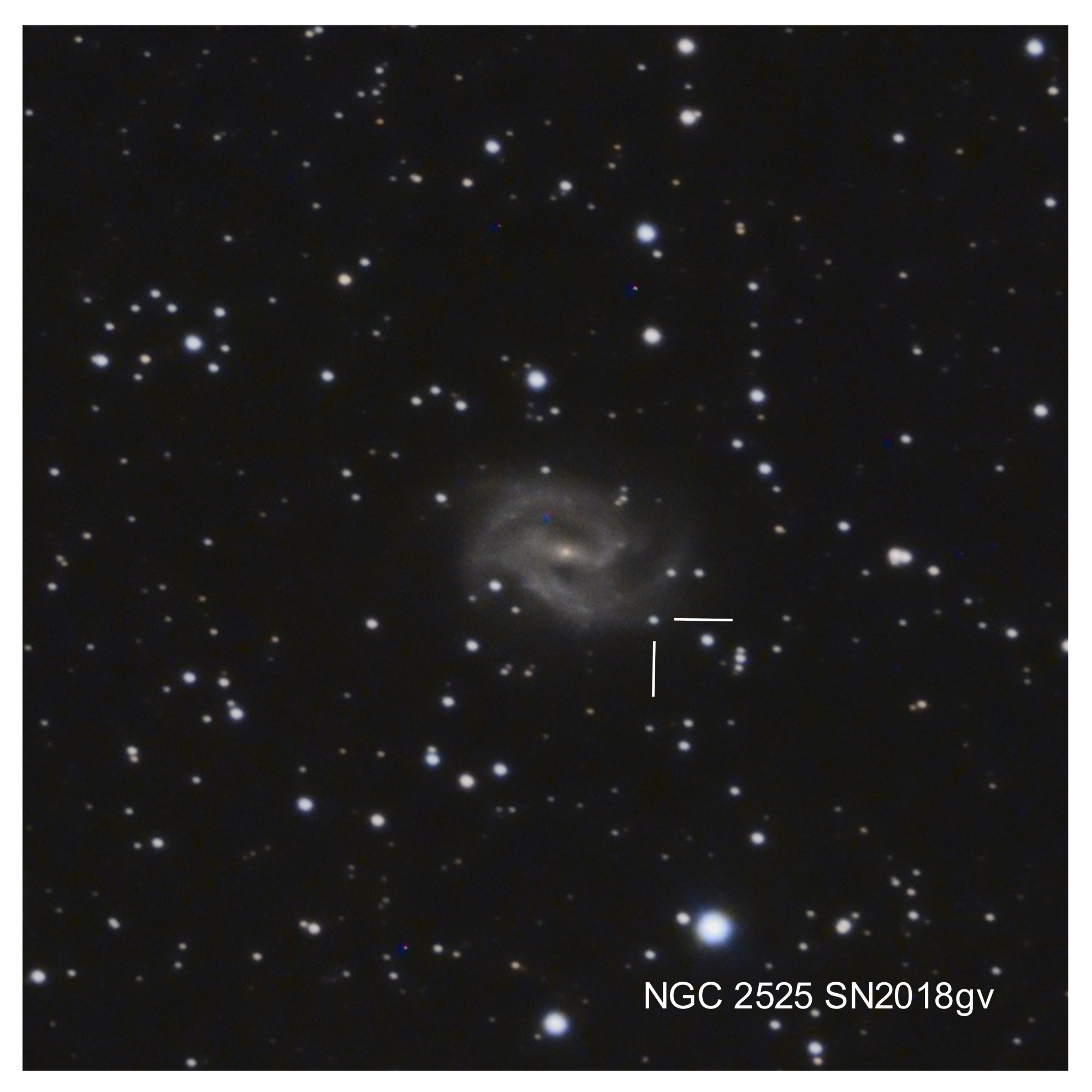 5ae709ecbb79e_NGC2525SN2018gvcrop.thumb.jpg.6549cf1601b8e167bc10327684504a25.jpg