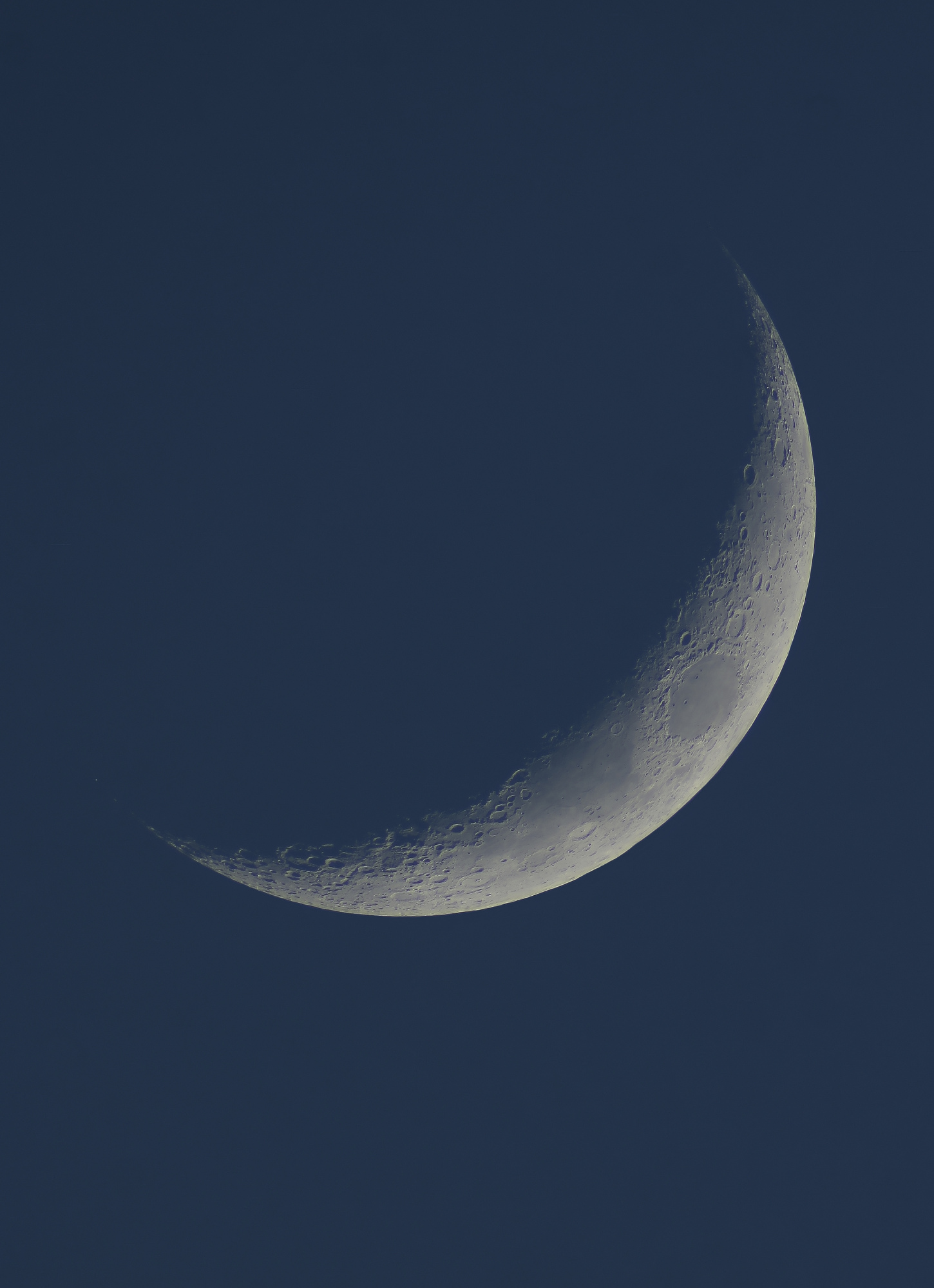 Blue-moon-crop-astra1.jpg