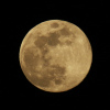 la pleine lune, au soir du 29/04/2018 (42342.JPG)