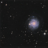 NGC 3344 dans la constellation du petit lion.