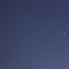 DSC03801 lune 19/04/18.JPG