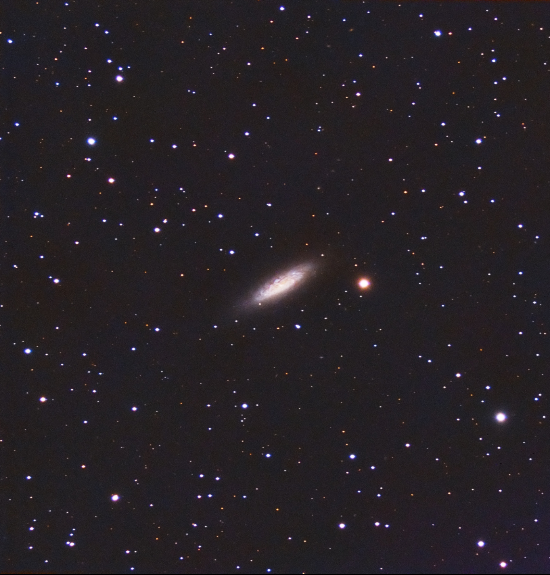 5af044c2ca522_NGC6503.thumb.jpg.68fb6e33dcba5977e1d9b4319a29c14f.jpg