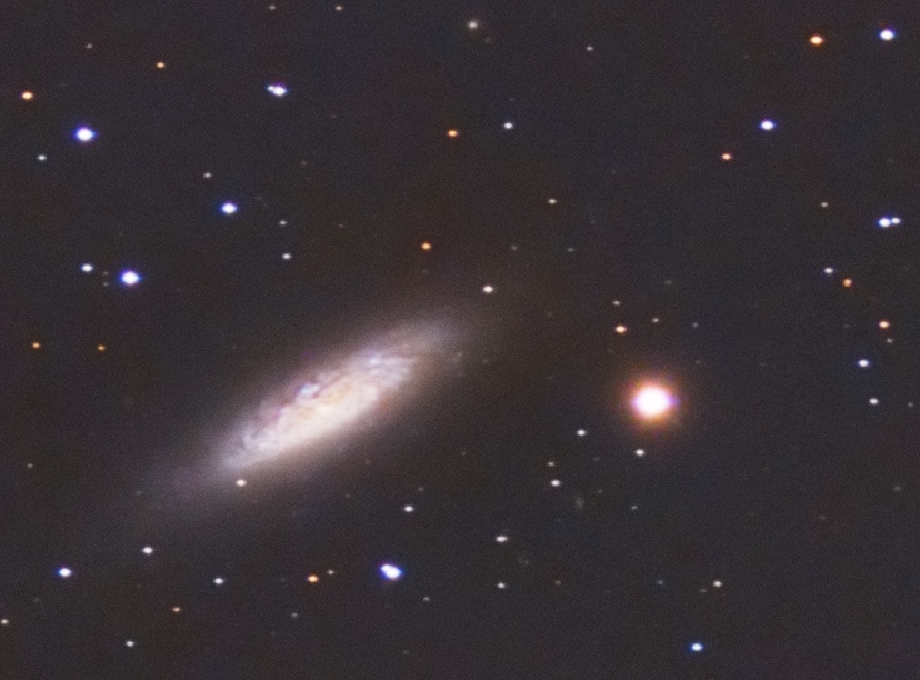 5af044c6c23a5_NGC6503crope.jpg.778aac745d25296c09e00de1af660980.jpg