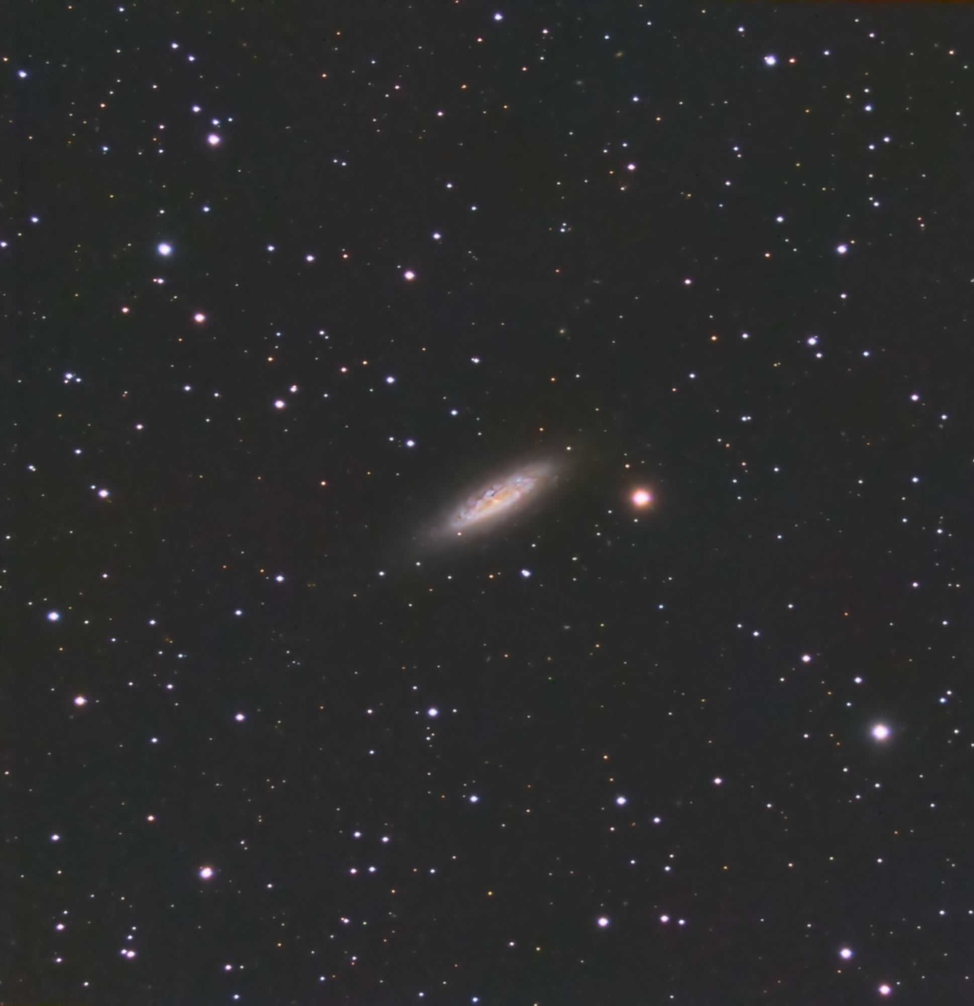 5af18d9eefdcd_NGC6503.thumb.jpg.139240b7812ee3c68536ad49e4dc2bbd.jpg