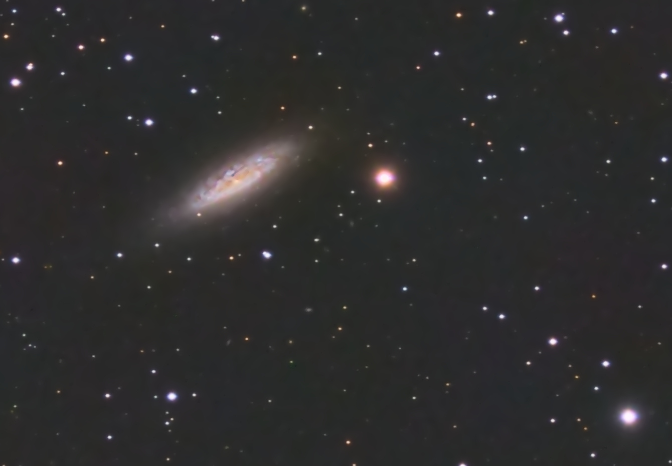 5af18eedf3be9_NGC6503crope.jpg.60ae45cad5c3532cefcea615e67716c3.jpg