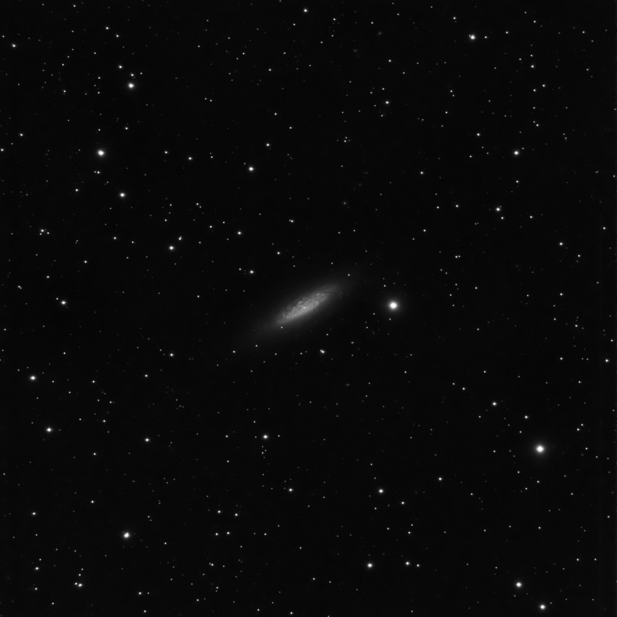 5af22c9ec4c4b_NGC6503.thumb.jpg.1679b1fe7ec41d2dd675a100c49749fe.jpg