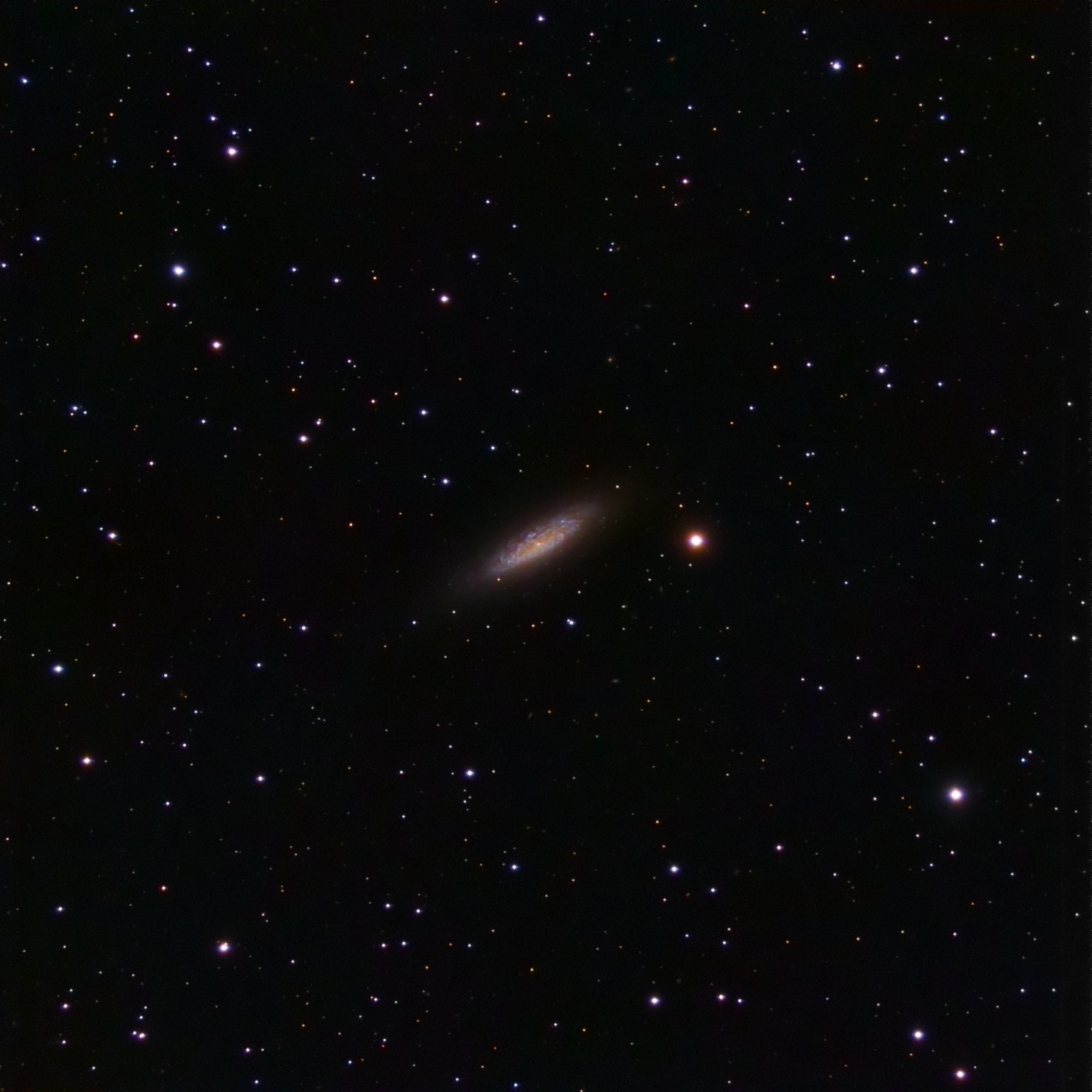 5af22c9ec4c4b_NGC6503.thumb.jpg.1679b1fe7ec41d2dd675a100c49749fecoul.jpg.8ce2213d0818067b53fd36afebddfefd.jpg
