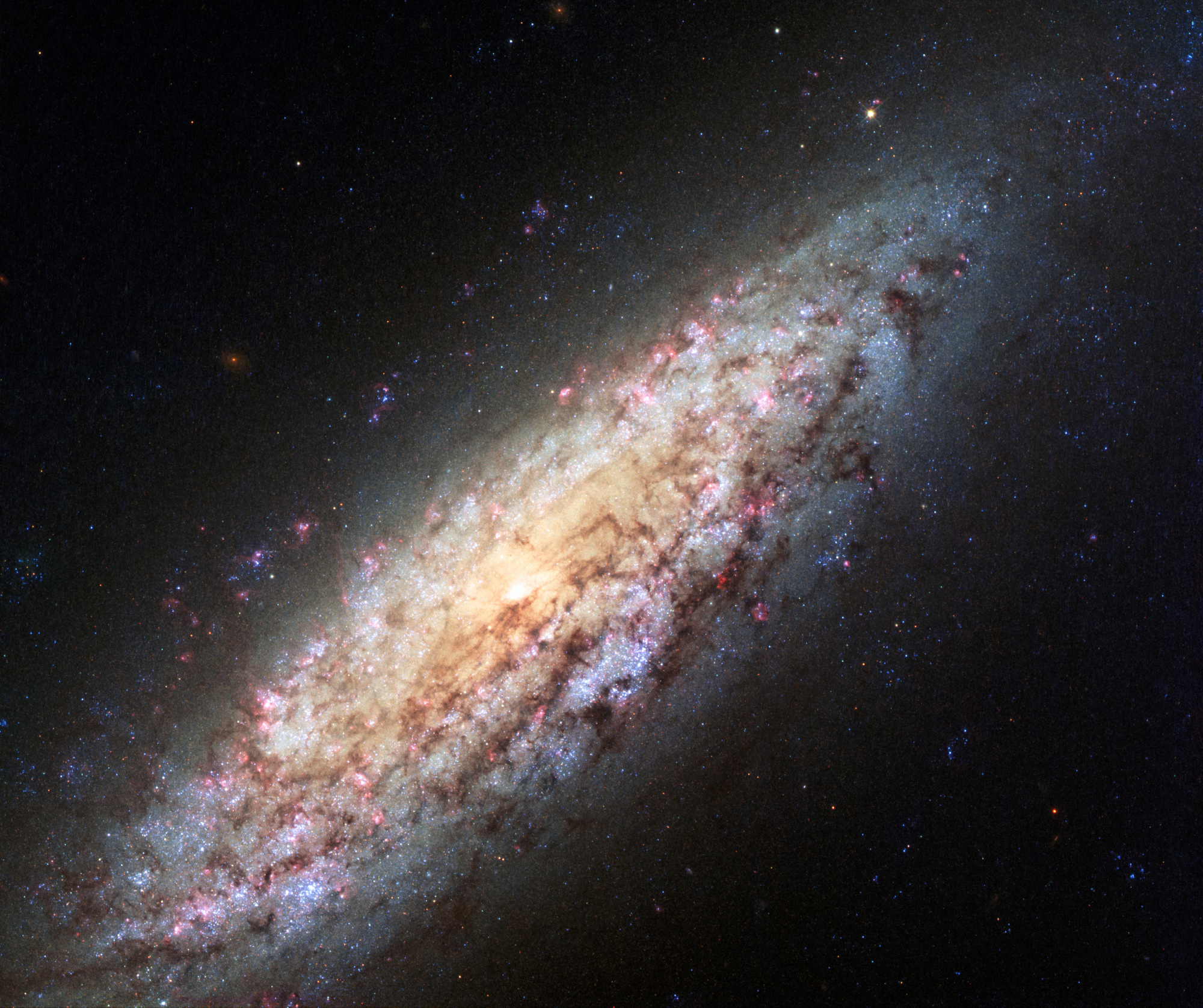 NGC_6503_Hubble.thumb.jpg.cdecb7a2fa0a10dd4a71c7239de51678.jpg