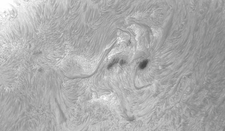 Animation tache solaire + Flare du 2 octobre 2011(L160-13H00-13H30L-100%).gif
