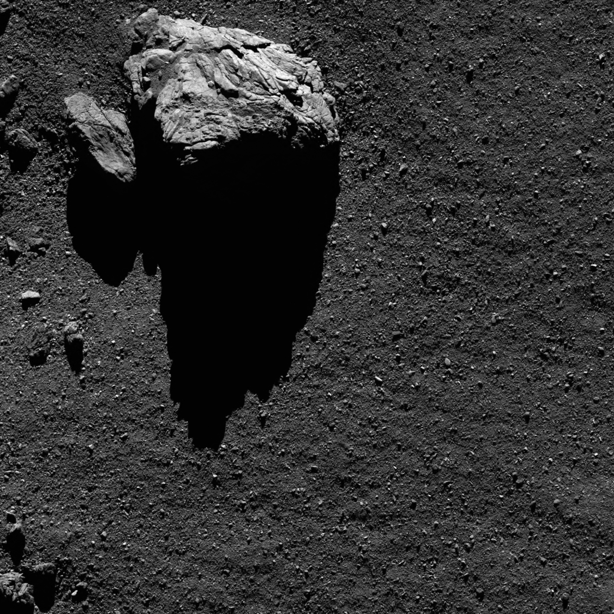 Rosetta 2 - JPEG.jpg