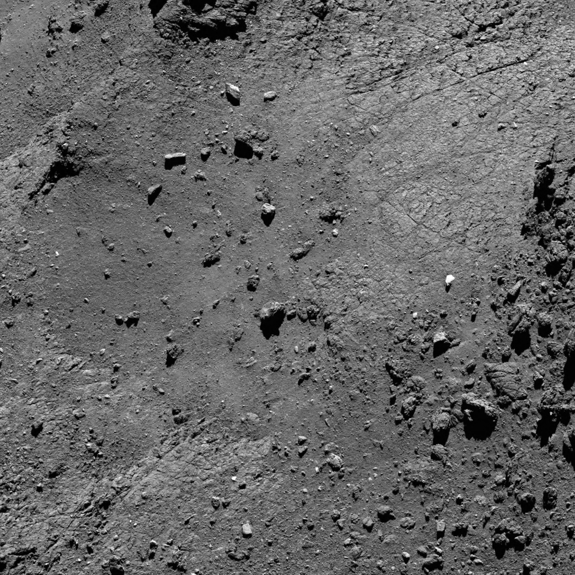 Rosetta 5 15 August 2016 from 5.5 km - JEPG.jpg