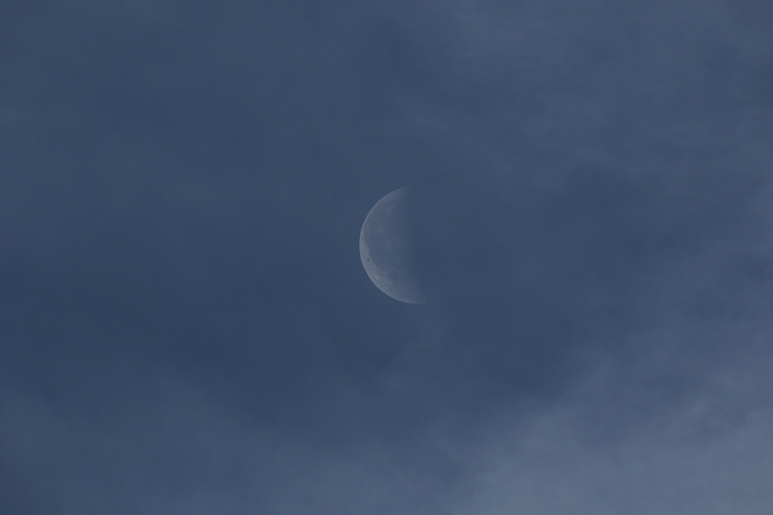la lune, au matin du 07/06/2018 (44253.JPG)