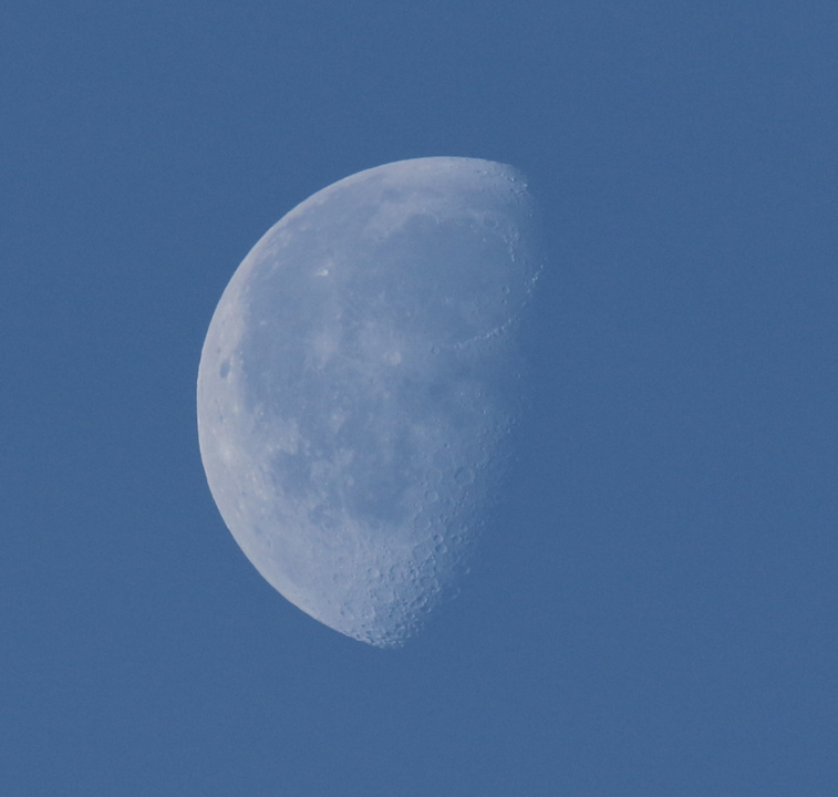 la lune, au matin du 03/ et 05/06/2018 (44219/44237.JPG)