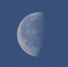 la lune, au matin du 05/07/2018 (45832.JPG)