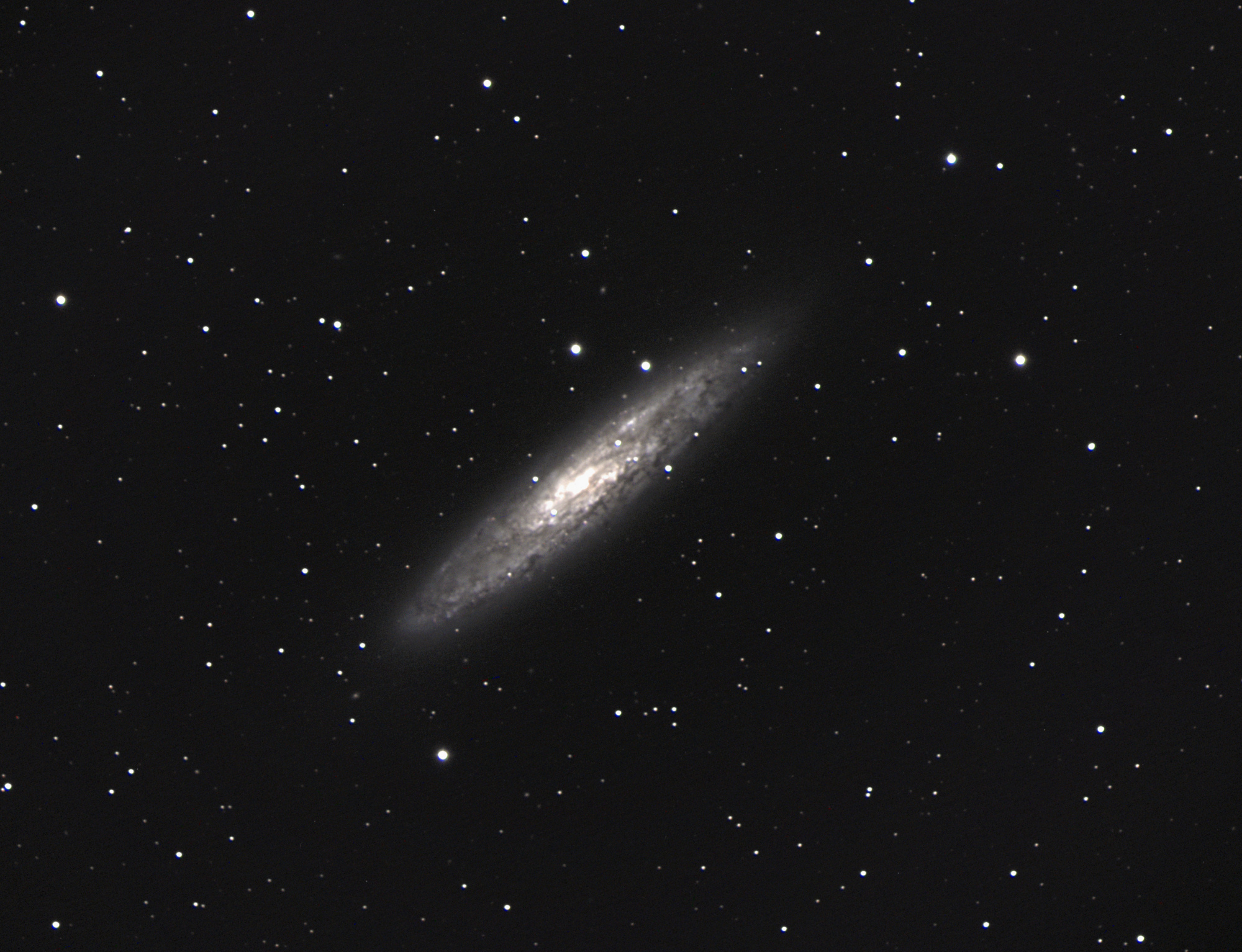 NGC253_Sculpteur.thumb.jpg.e3cdd089cd52158e4044b239ae1e05e6.jpg