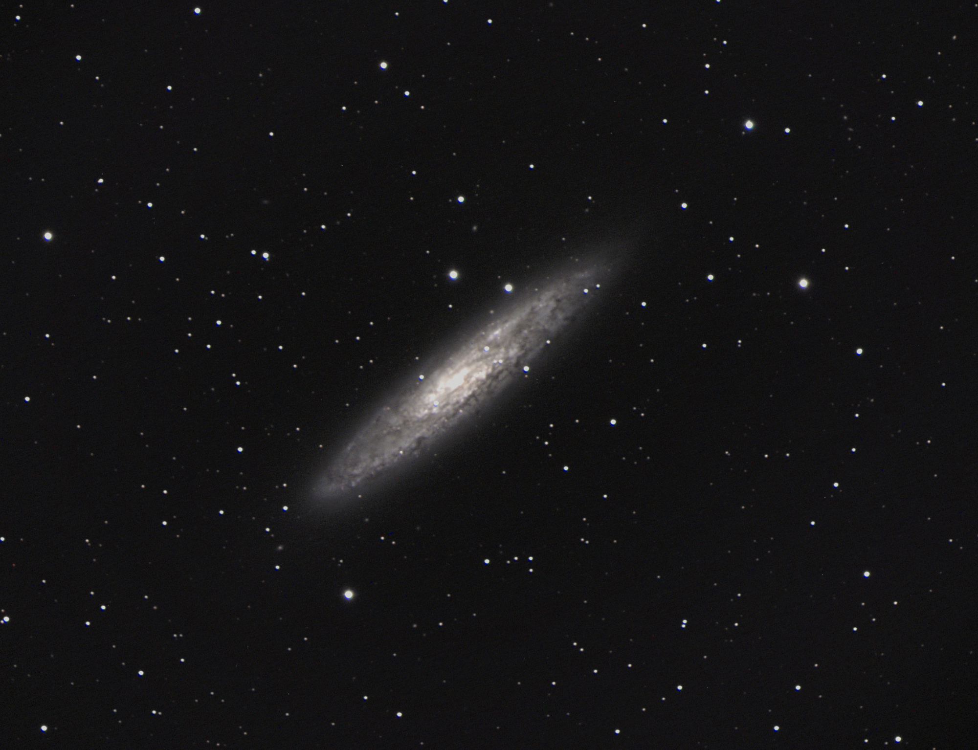 NGC253_Sculpteur_ddp.thumb.jpg.fcf4c785c9f4497bbabe383527d62ed8.jpg