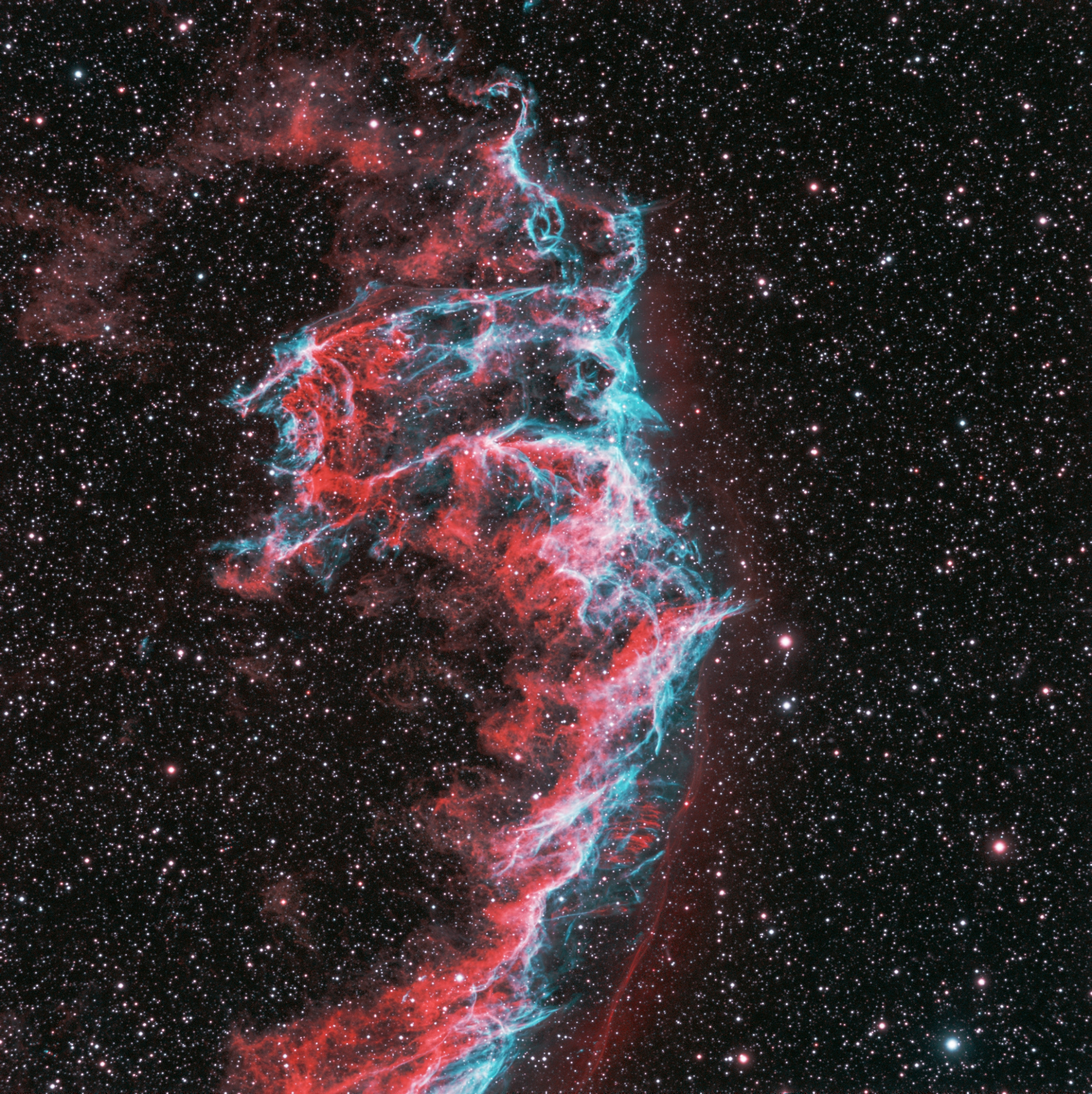 NGC6992-H100SII100-OIII100-OIII150_Bkgd_NLDblHis_PSt copie.jpg