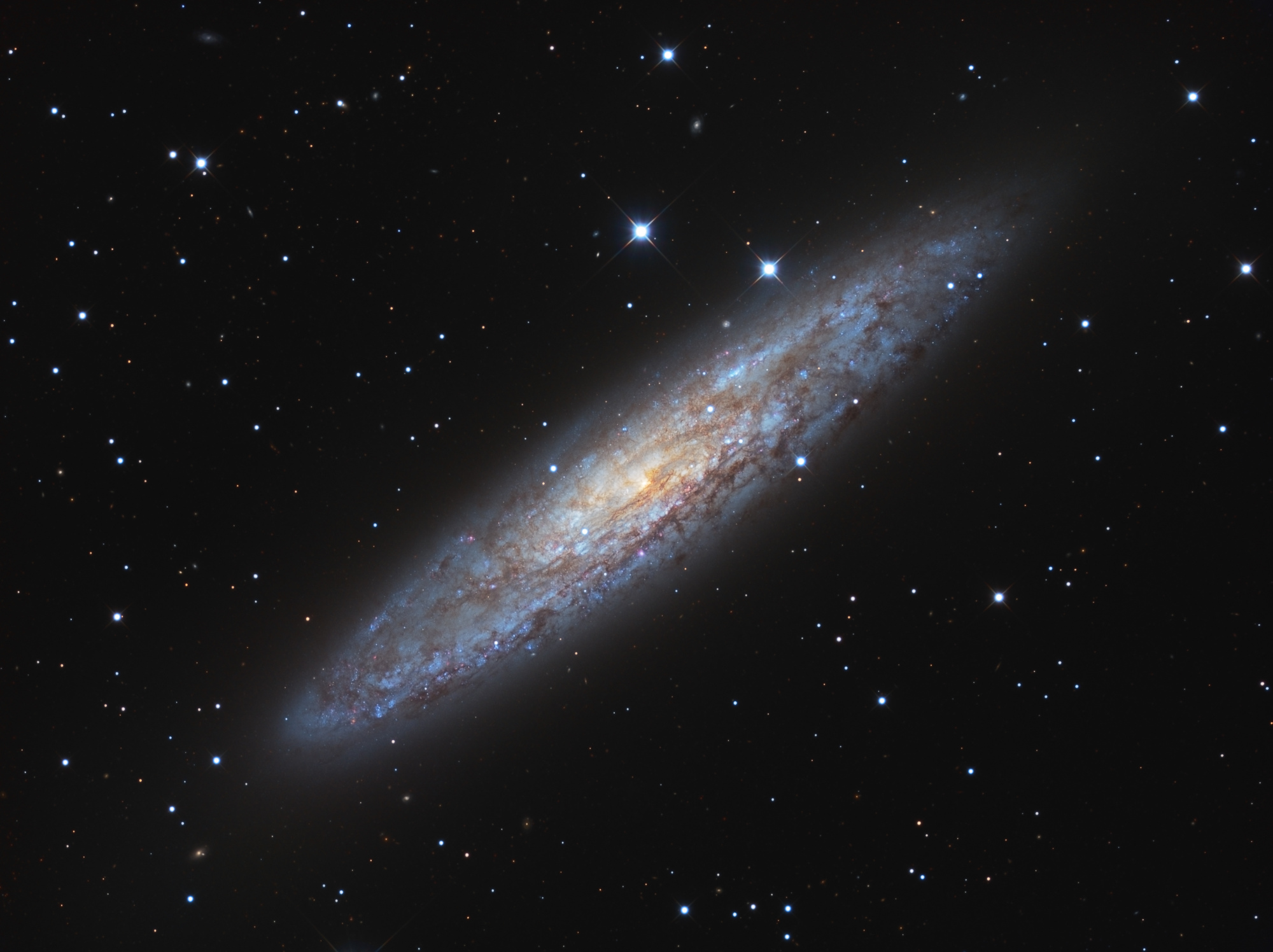NGC253_LRVB-V4-Publi.thumb.jpg.59ce590874ea7a943da376544c15f83c.jpg