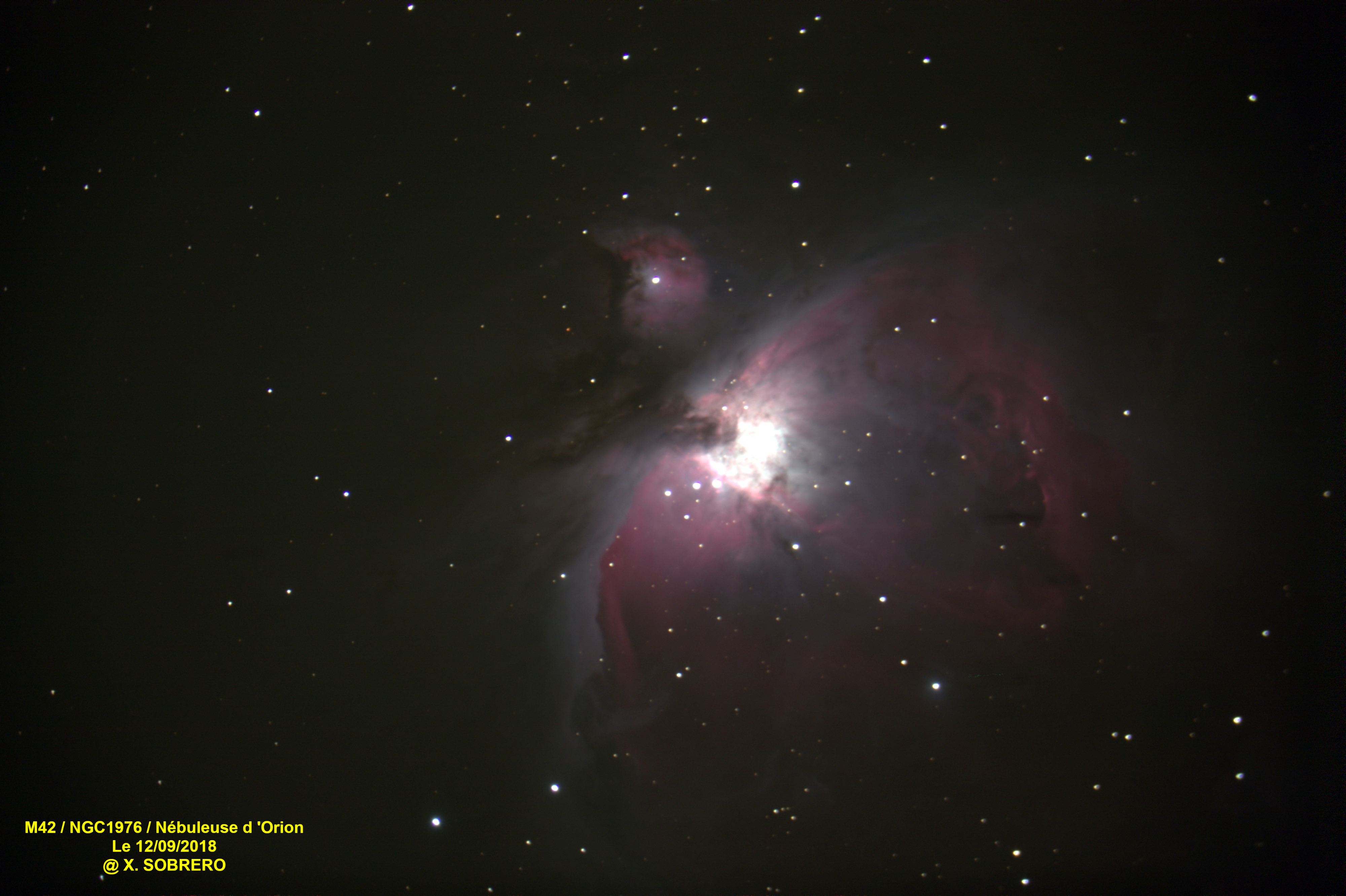 M42 / NGC 1976 / Nébuleuse d'Orion