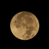 coucher de presque pleine lune, au matin du 24/10/2018 (50908.JPG)