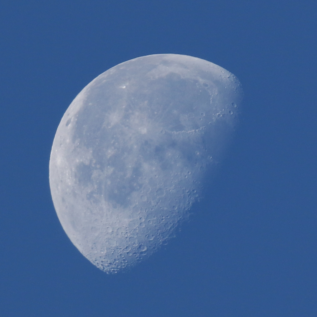 la lune, bleue, au matin du 28/11/2018(52826)