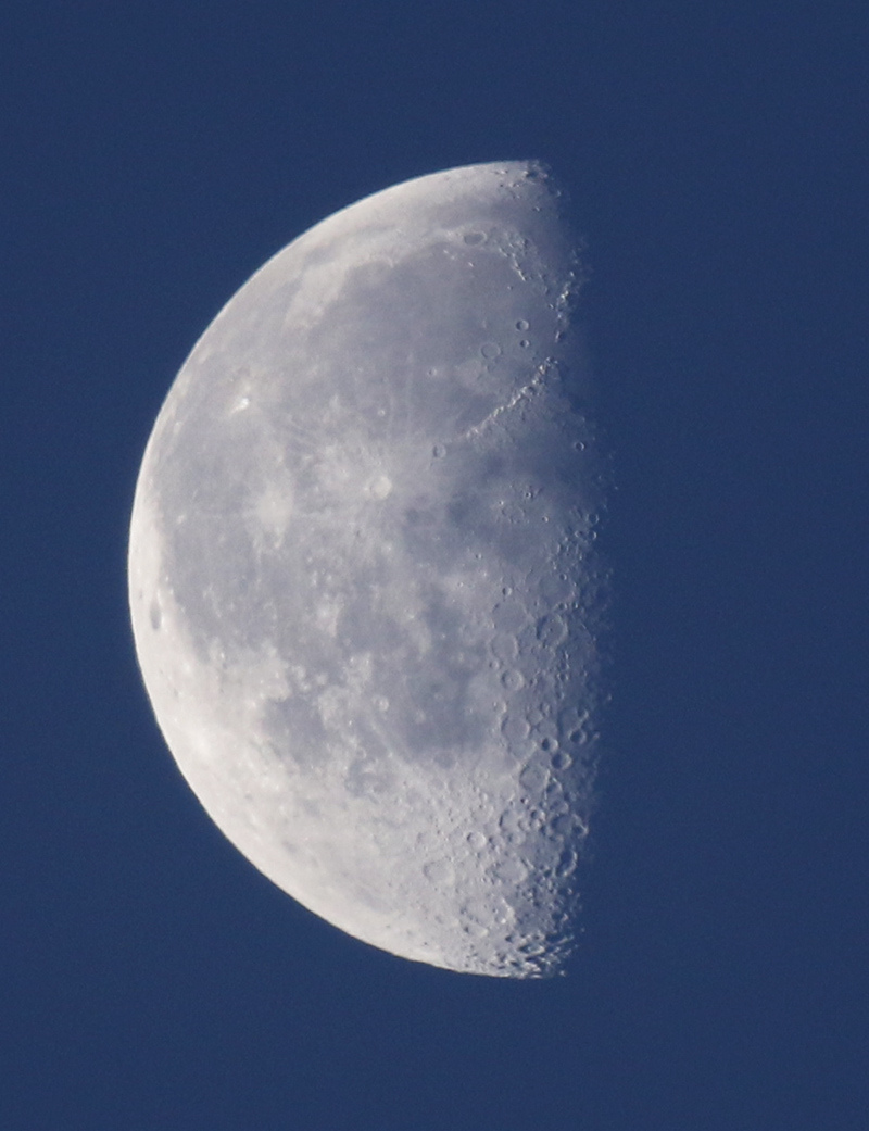 la lune, bleue, au matin du 29/11/2018 (52862/871)