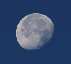 la lune, bleue, au matin du 26/11/2018 (52646)