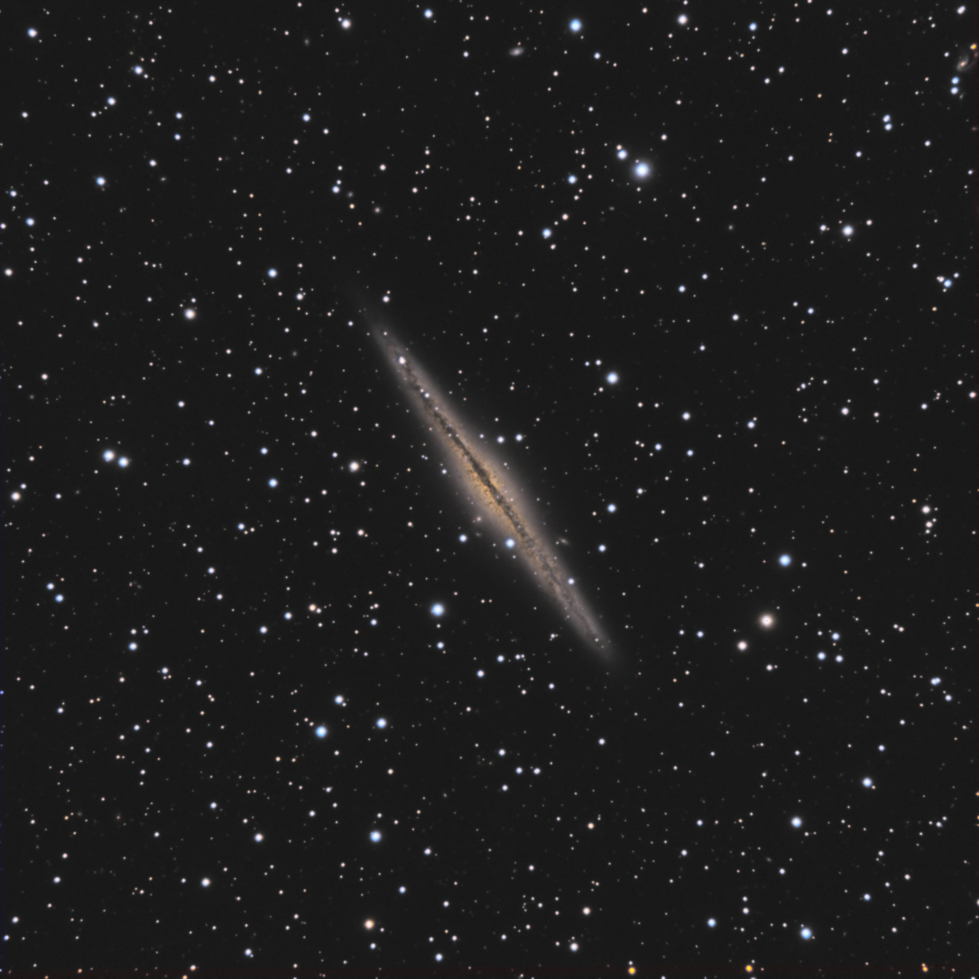5c2a0a1f48dd7_NGC891.thumb.jpg.d0bf098dc84c72c7150c8c05f11c8480.jpg
