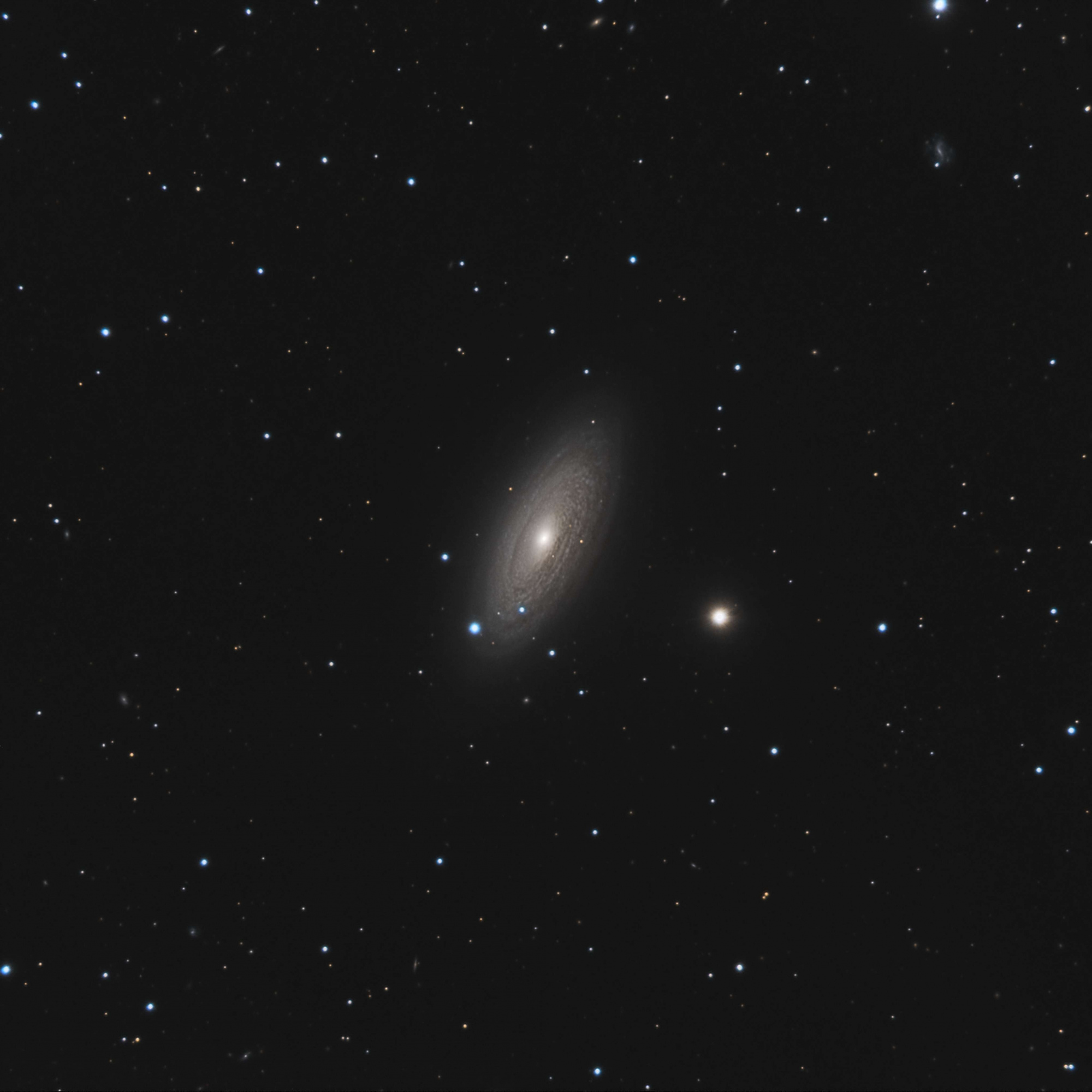 NGC_2481.thumb.jpg.729948d65d11b7b4acc448916a3f50a8.jpg