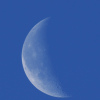 la lune, bleue, et Vénus, au matin du 01/12/2018 (52908/909/923)