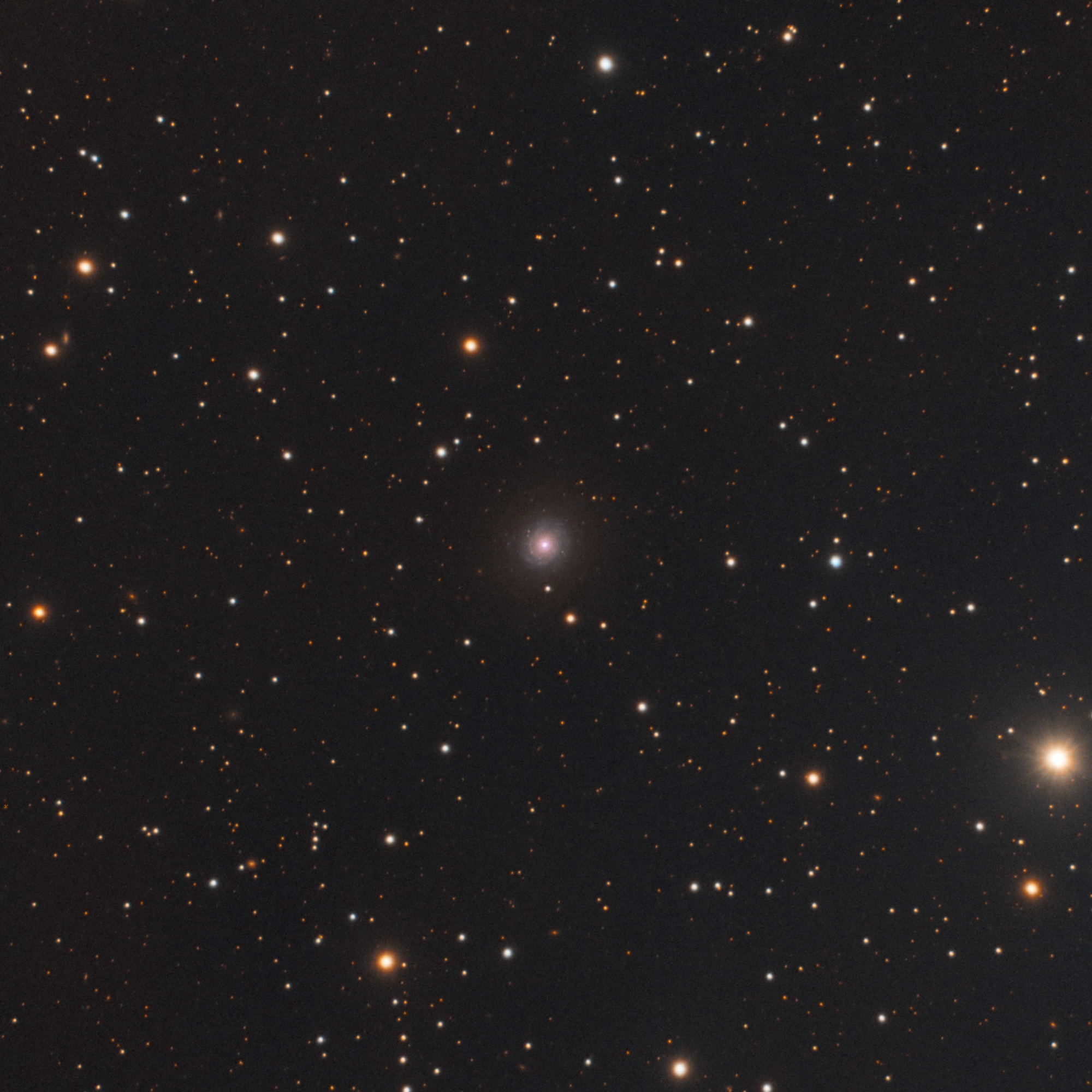 5c35ec22560af_NGC2344.thumb.jpg.3cc31450fd71ccbf6ff82ffa225828e0.jpg