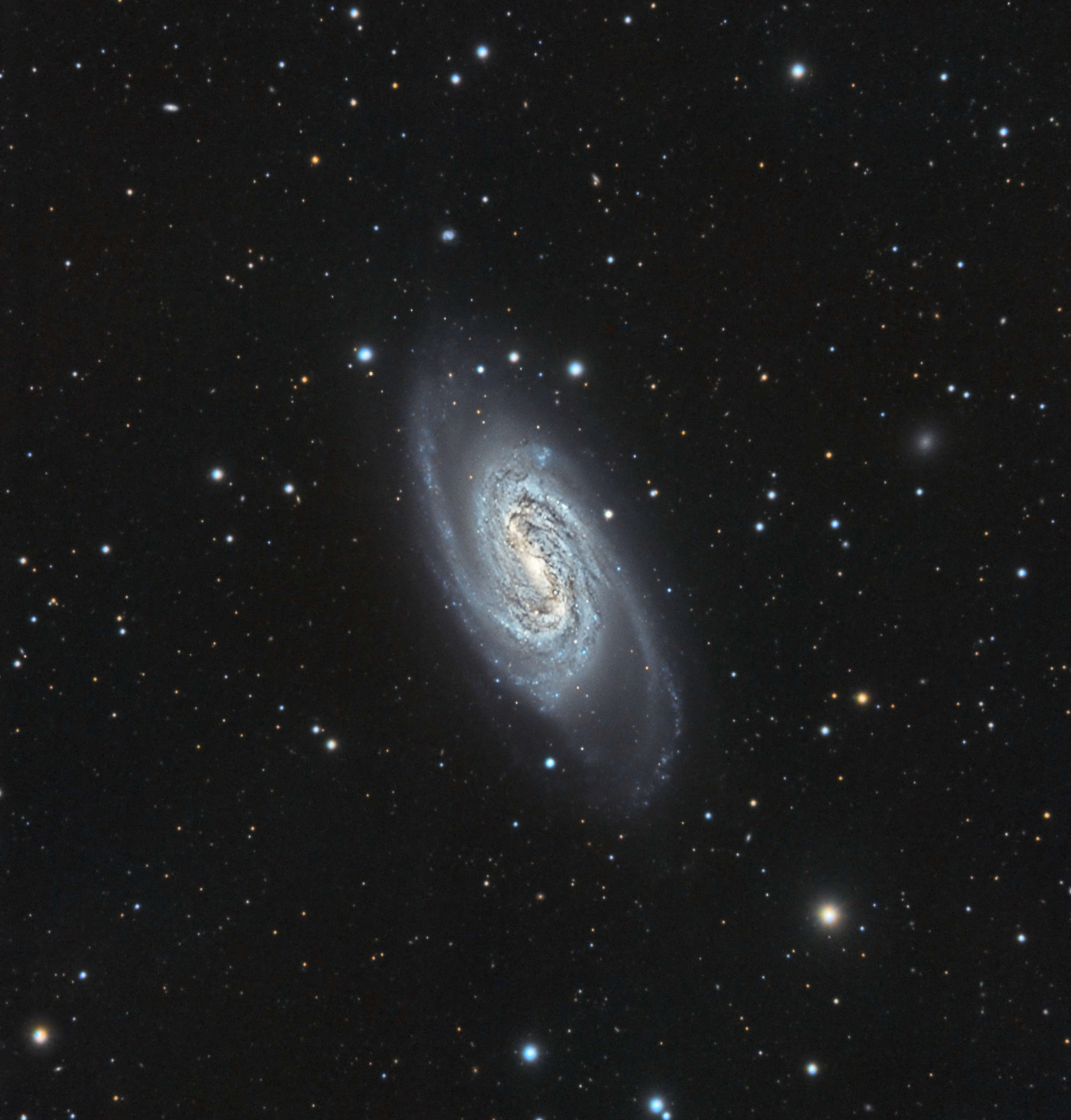 5c44dc2581986_NGC2309V2.thumb.jpg.f9960ff39560c1a824155c4e5f0b191e.jpg