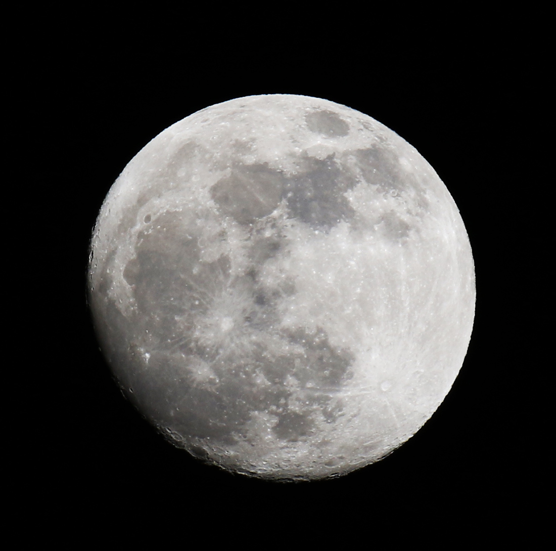 la lune, au soir du 19/01/2019 (56134)