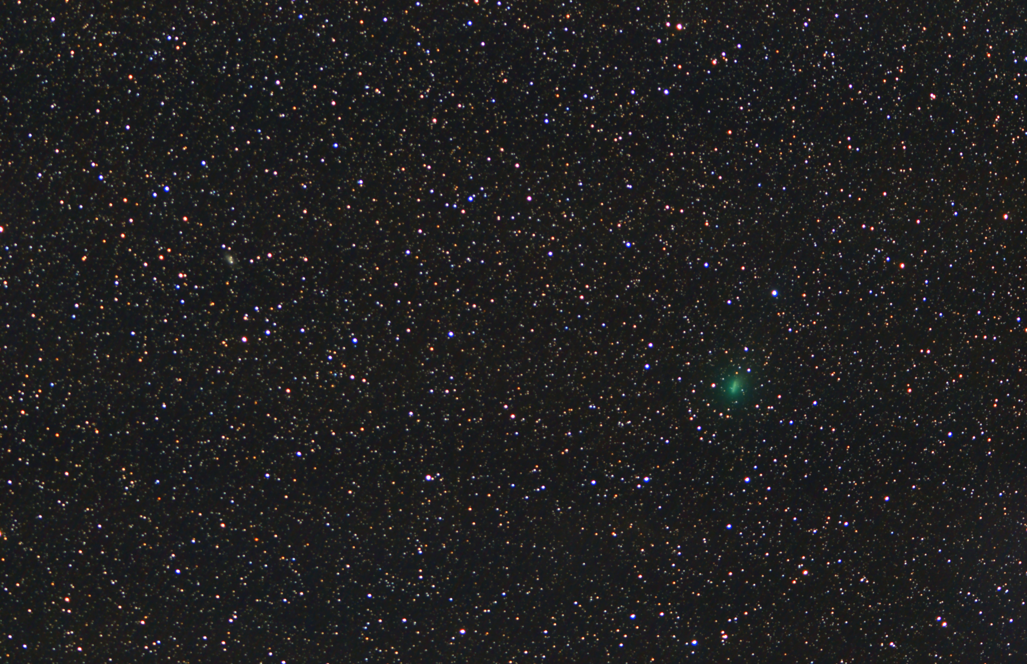 Comète 46P/Wirtanen GC 050119 (étoiles).jpg