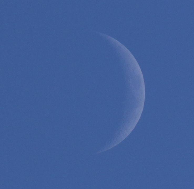 la lune, l'après-midi vers 15 h 39 le 10/01/2019 (55381)